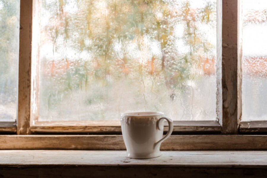 window and cup