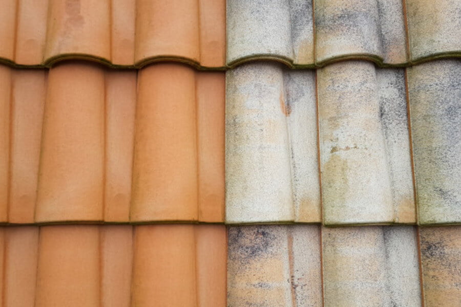 Cleaning Roof