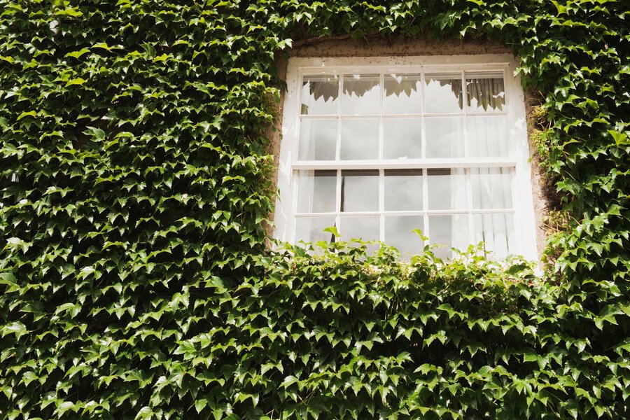 Window Frames